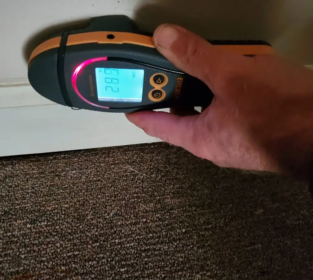 Moisture detection at baseboard during Sewage Cleanup & Sanitation in Greenwood